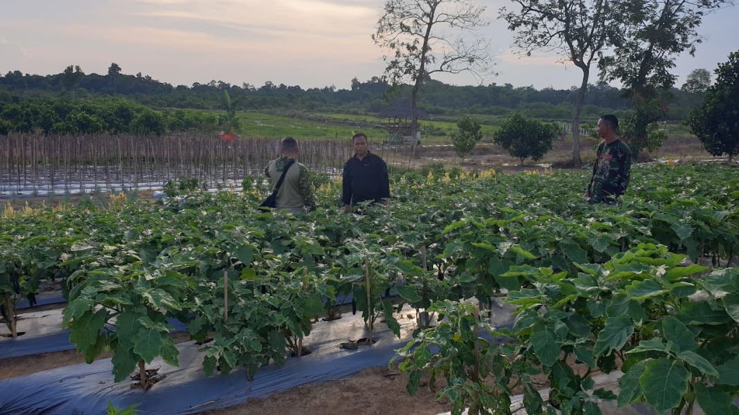 Agrowisata Gapo