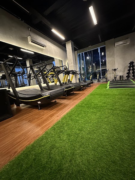 Gallery Fitness by dr. Fit