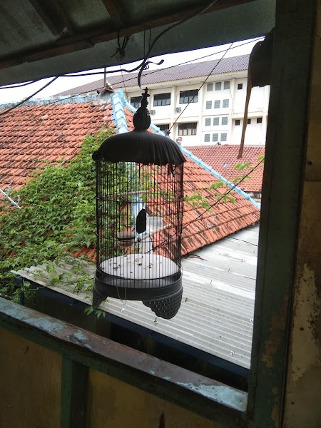 Jual Rumah Murah Dijakarta