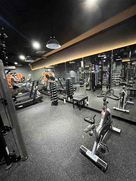 Musclecamp Gym