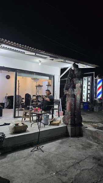 SAELUS BARBER