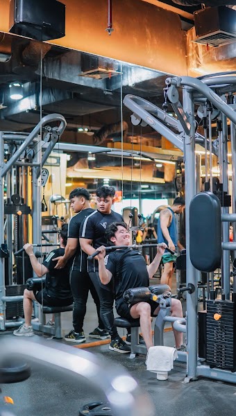 Vizta Gym